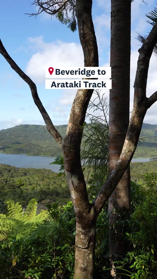 TikTok video thumbnail by aklcouncil