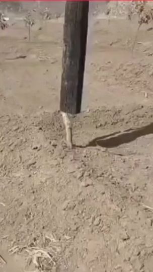 TikTok video thumbnail by mamed87_energetik