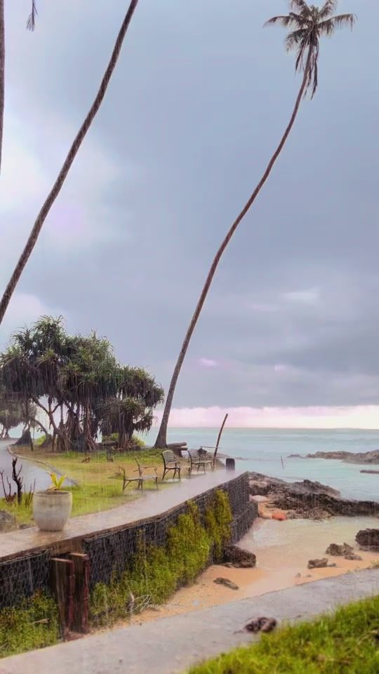 TikTok video thumbnail by artworldlk