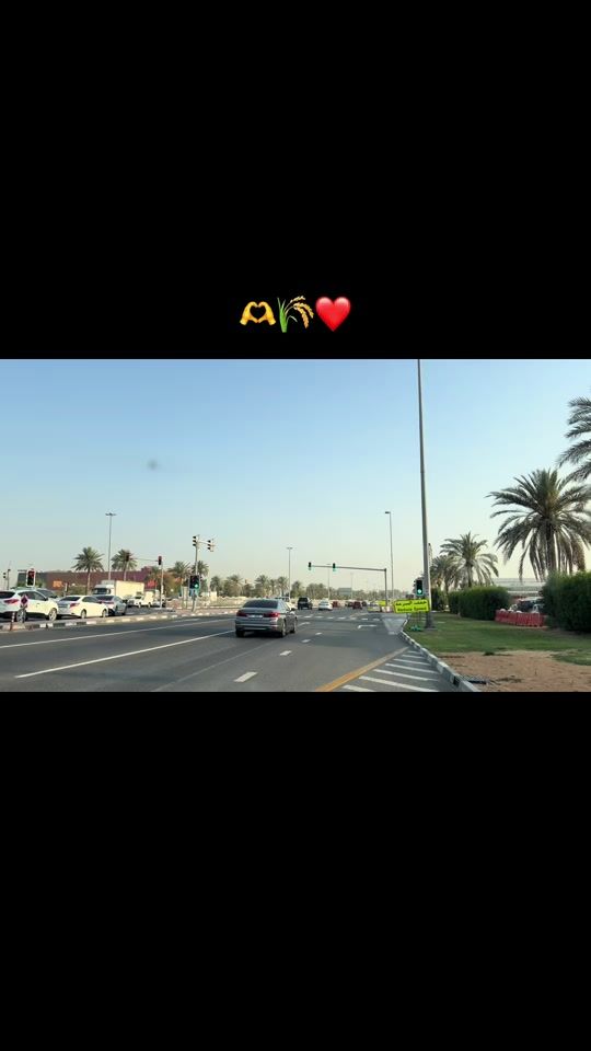 TikTok video thumbnail by assuuae0
