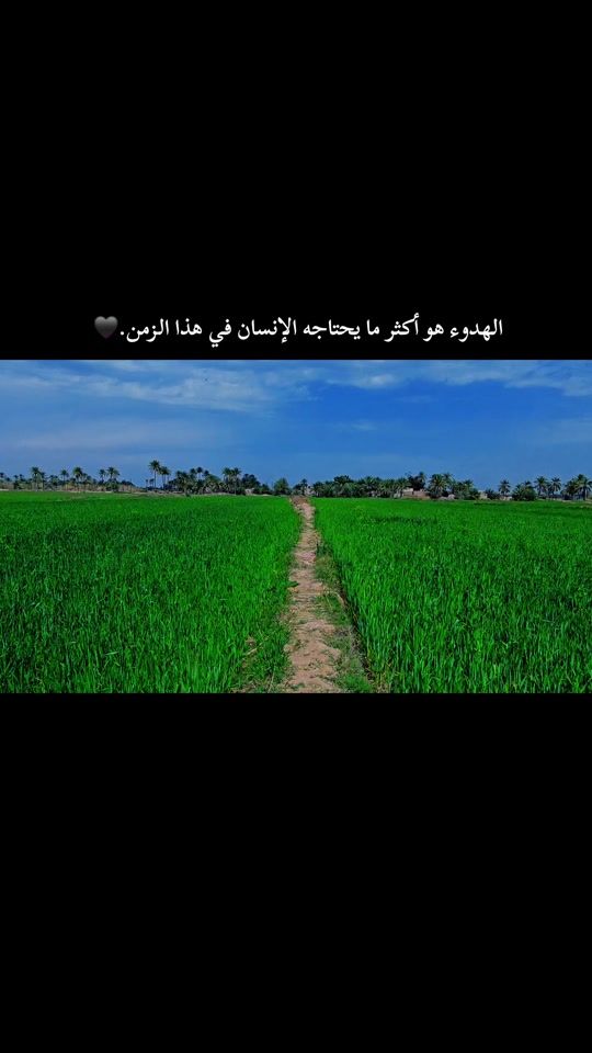 TikTok video thumbnail by 8t._.as