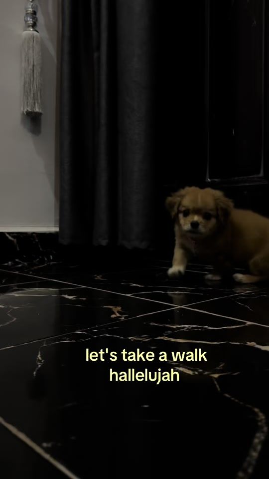 TikTok video thumbnail by lov.ngel