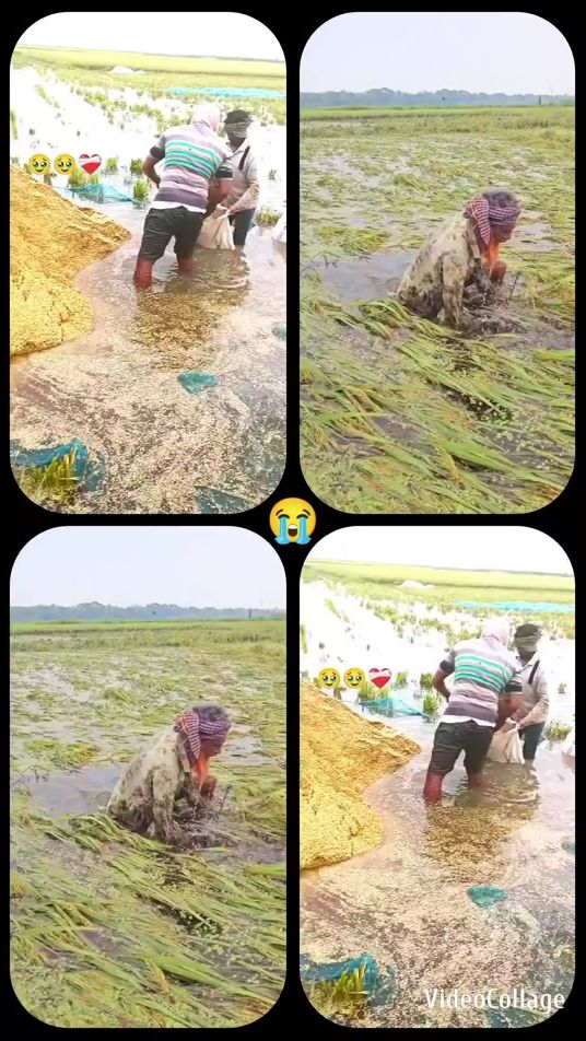 TikTok video thumbnail by arif.support.sign