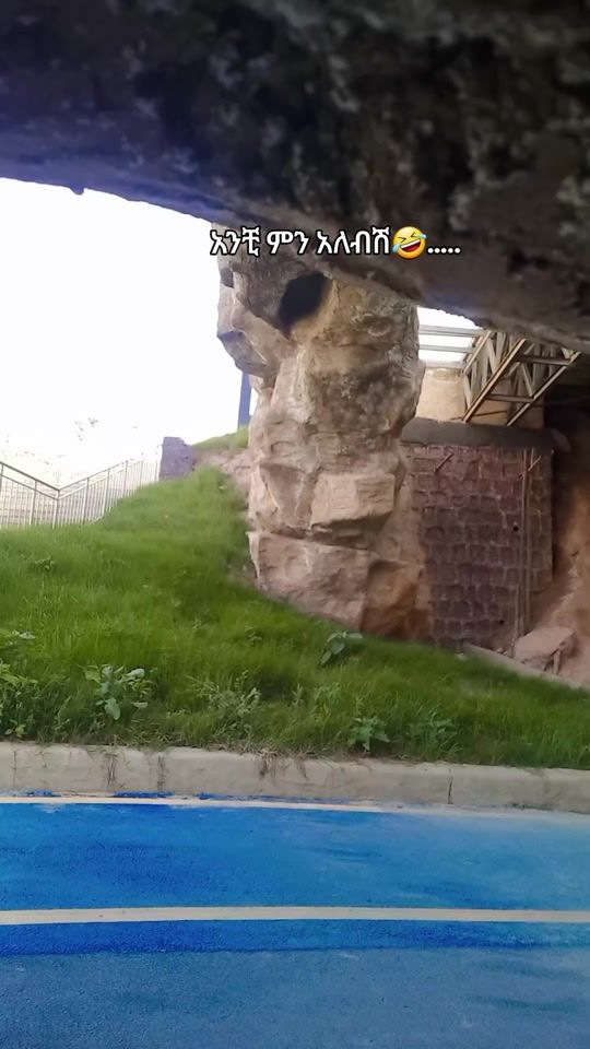 TikTok video thumbnail by sykhhk