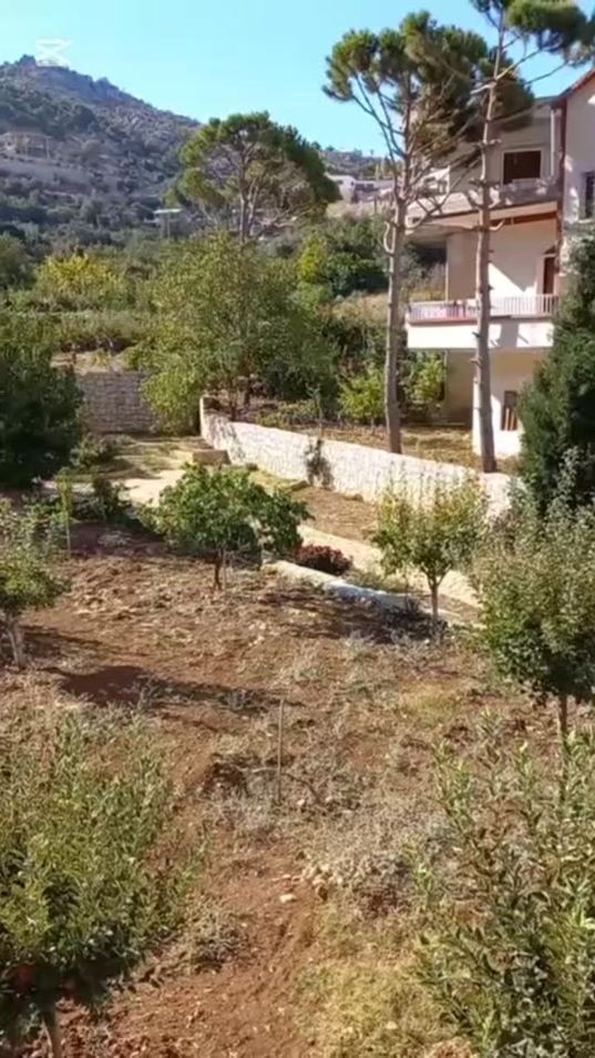 TikTok video thumbnail by beirut731