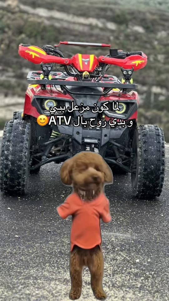 TikTok video thumbnail by sleepyx_x5