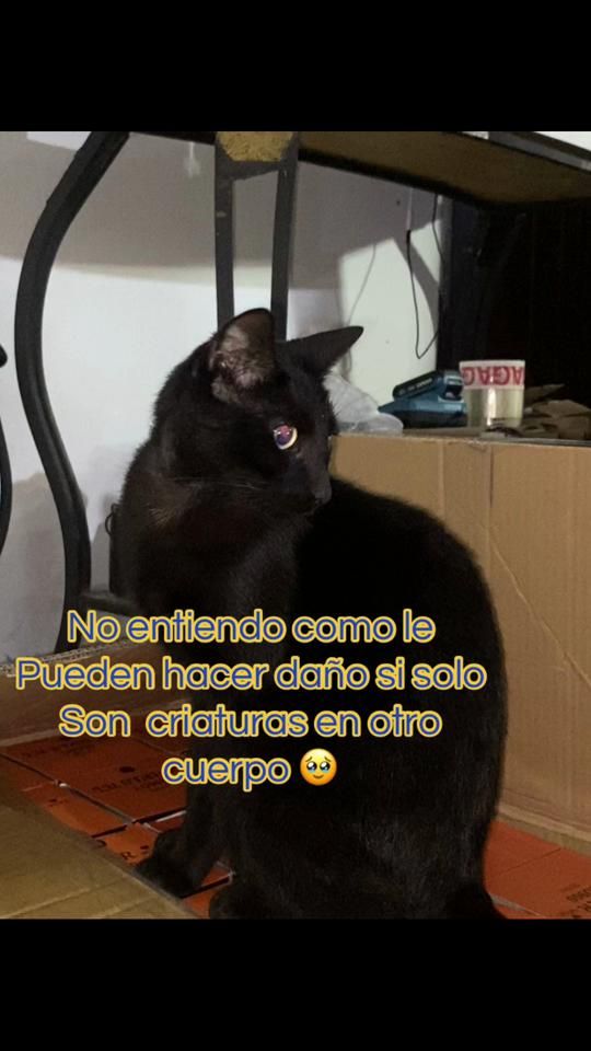 TikTok video thumbnail by ...vanessita