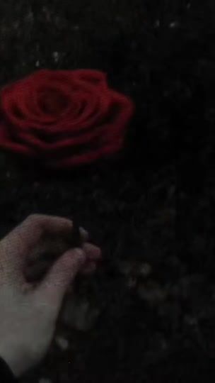 TikTok video thumbnail by ourplayylistt