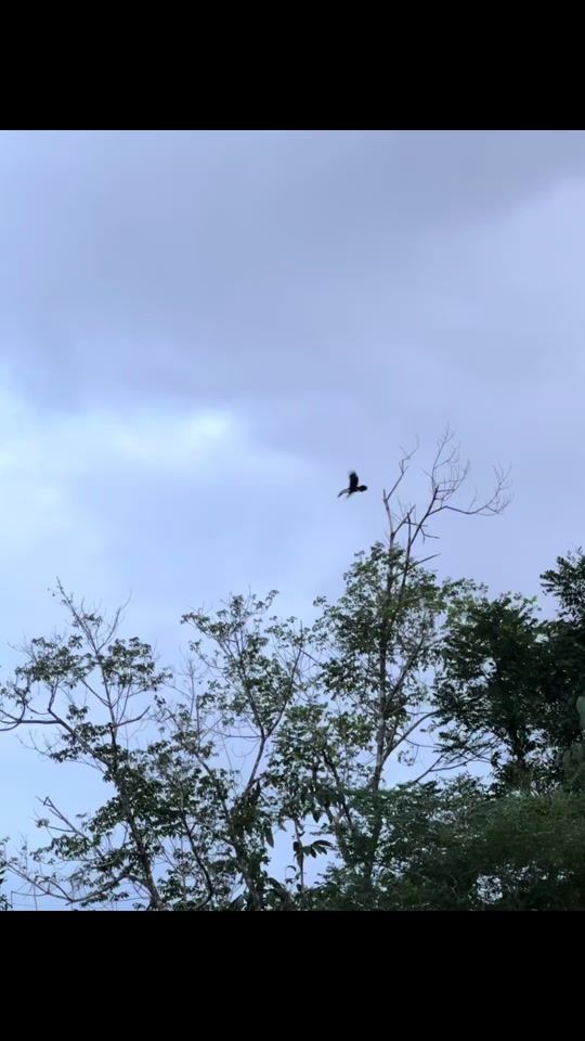 TikTok video thumbnail by justinpersaud33