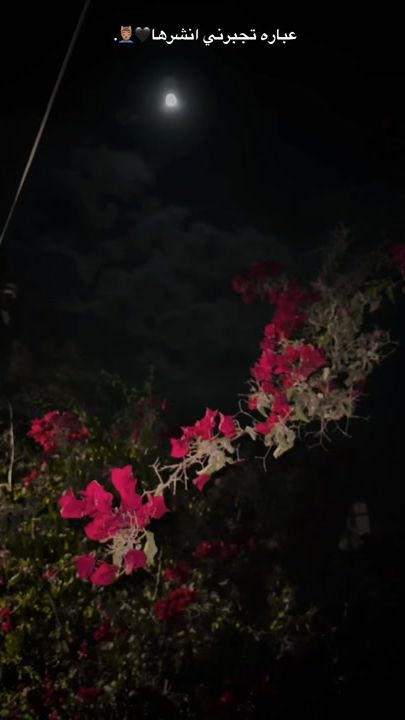 TikTok video thumbnail by ddi24.42
