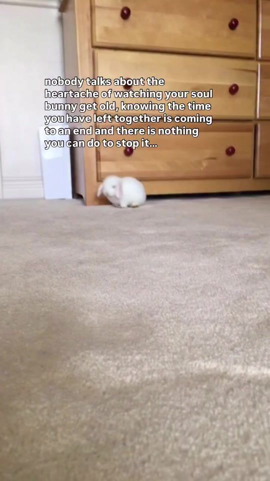 TikTok video thumbnail by blancobun