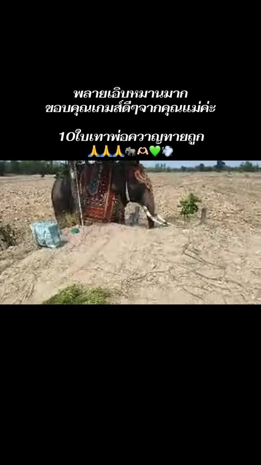 TikTok video thumbnail by amnuai67