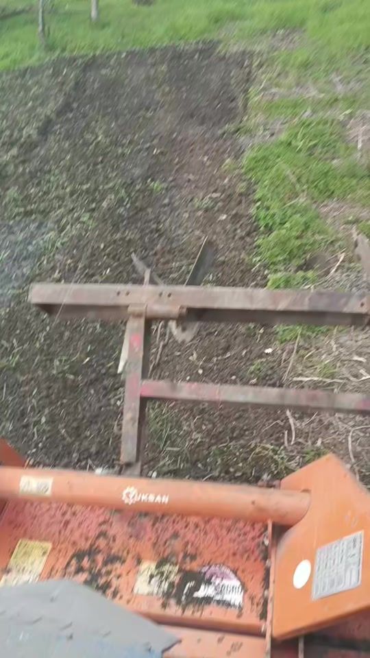 TikTok video thumbnail by elsenabdulayev