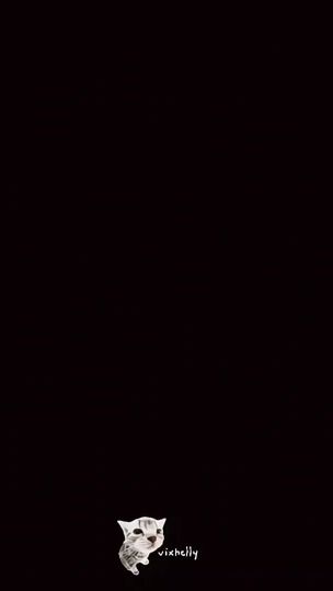 TikTok video thumbnail by vixhelly_