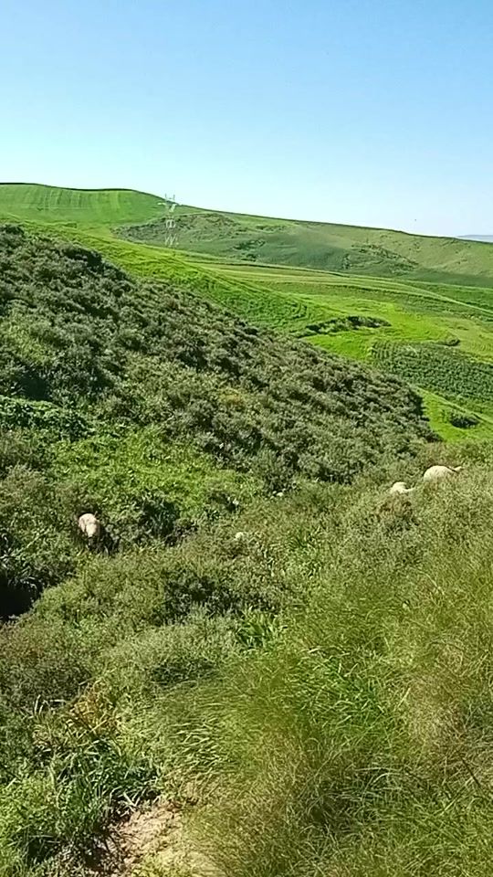 TikTok video thumbnail by farjanifarjanimar