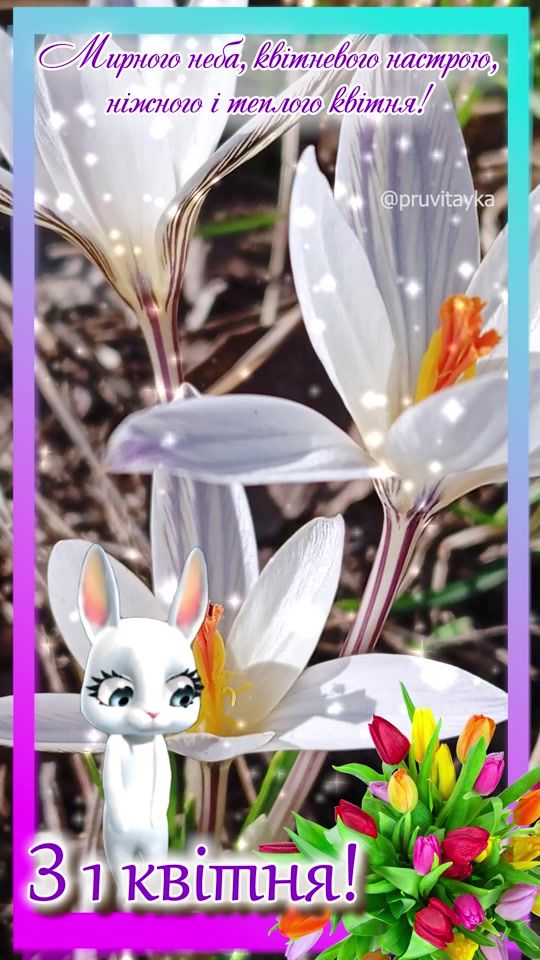 TikTok video thumbnail by pruvitayka