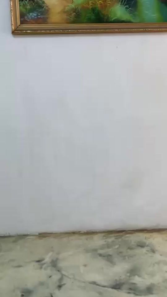 TikTok video thumbnail by elgabodeapure