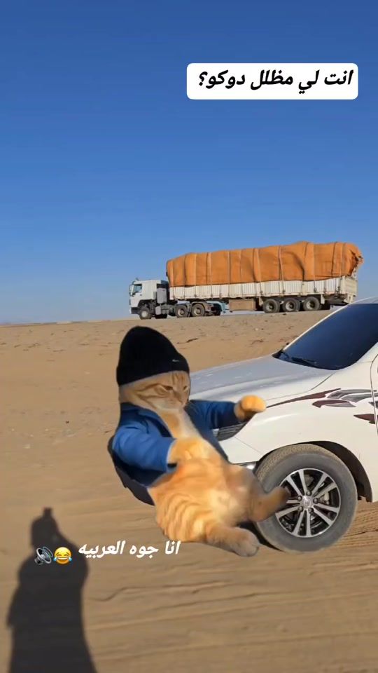 TikTok video thumbnail by mhmada.nor2