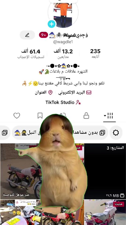TikTok video thumbnail by wagdle1