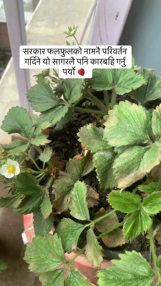 TikTok video thumbnail by heena.shi8
