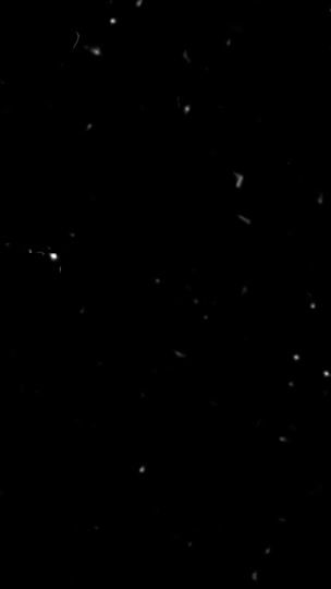 TikTok video thumbnail by youssef_7os