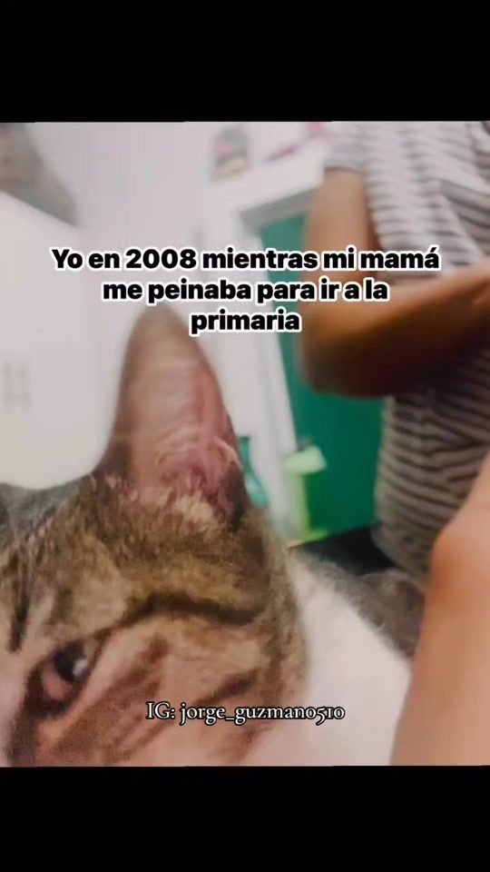 TikTok video thumbnail by jorgeguzman2006
