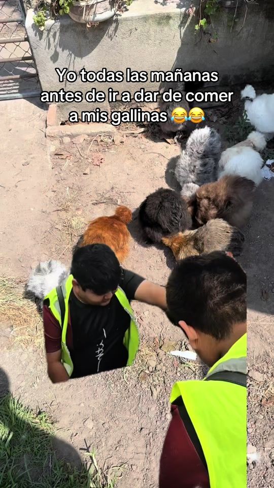 TikTok video thumbnail by sedosaselplumon