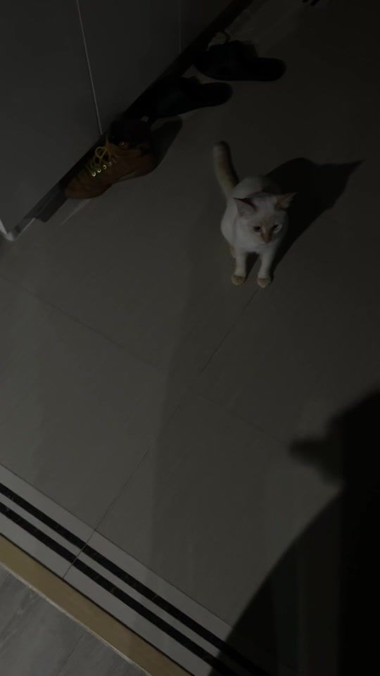 TikTok video thumbnail by pond.ktp