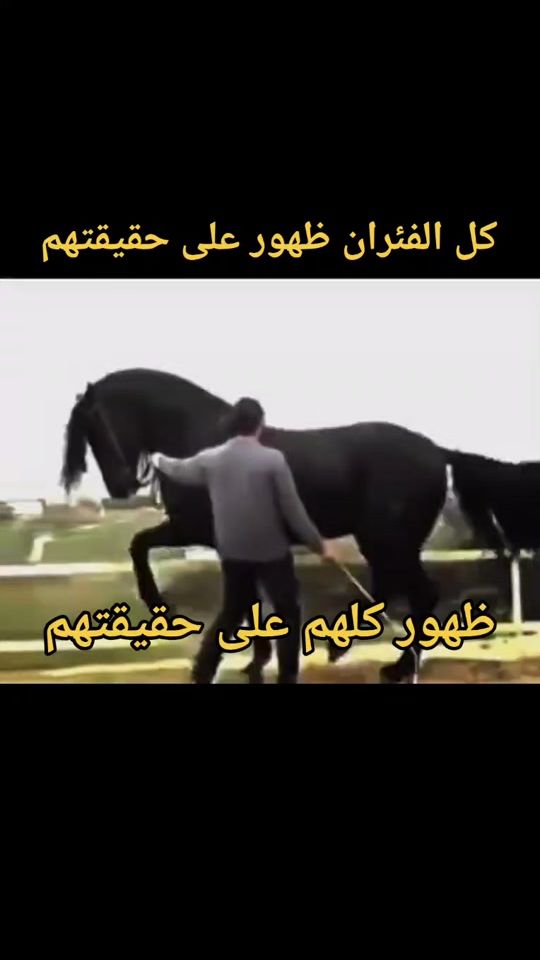 TikTok video thumbnail by general0363
