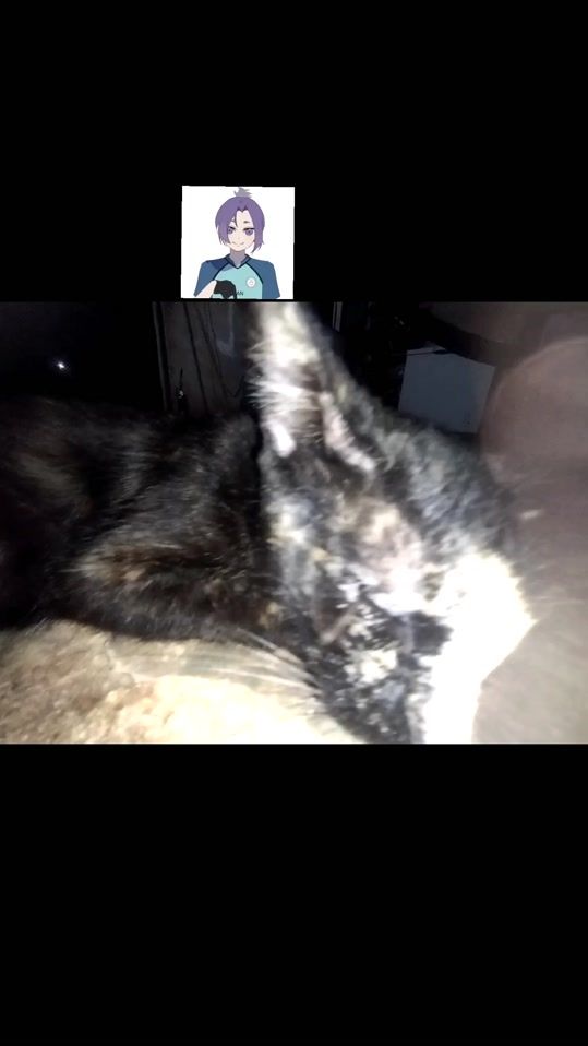 TikTok video thumbnail by karate.chable