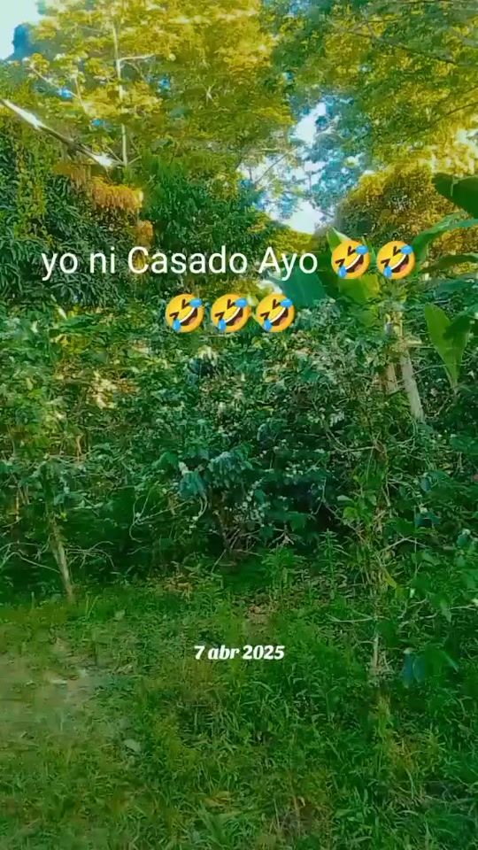 TikTok video thumbnail by sinlimites643