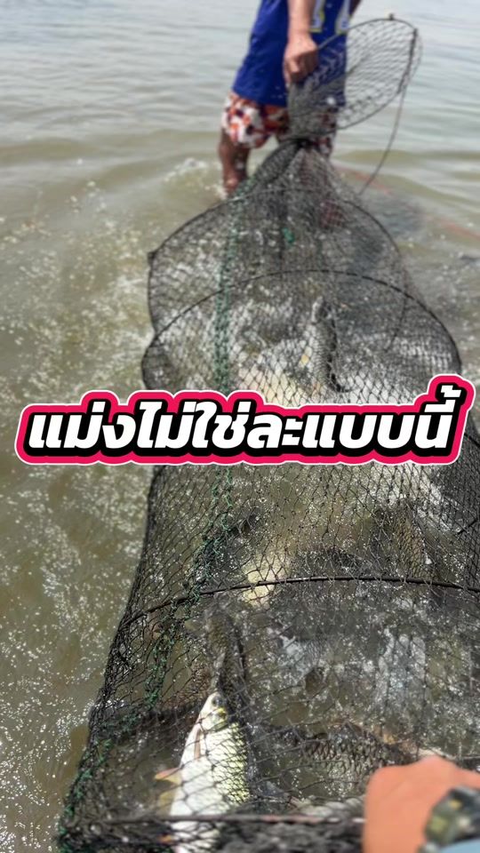 TikTok video thumbnail by tod_finfrog