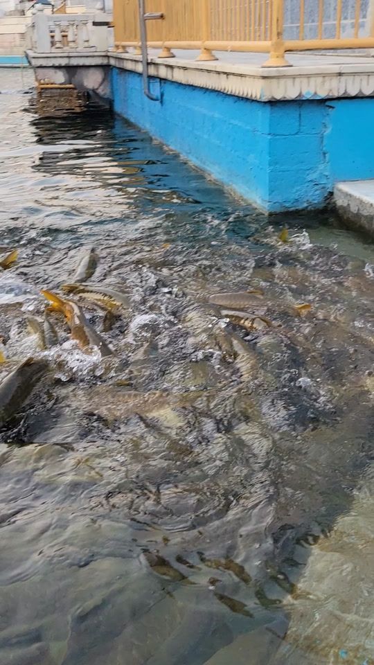 TikTok video thumbnail by deepaksinghjaggi