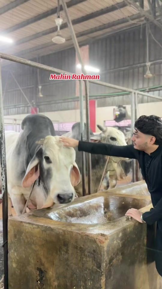 TikTok video thumbnail by mahin_rahman_4