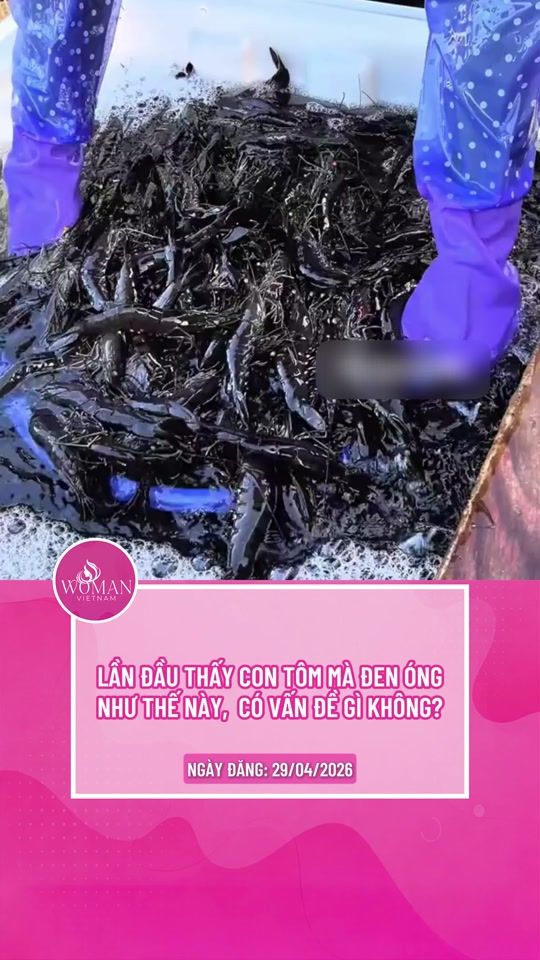TikTok video thumbnail by womanvietnam.vn