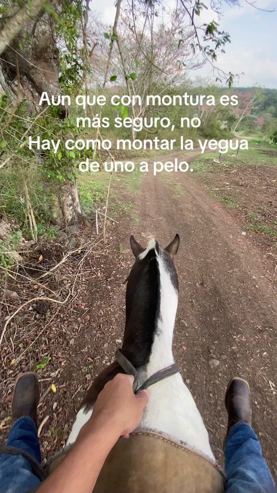 TikTok video thumbnail by orellana__16