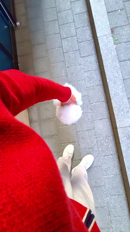 TikTok video thumbnail by dogcastle.th
