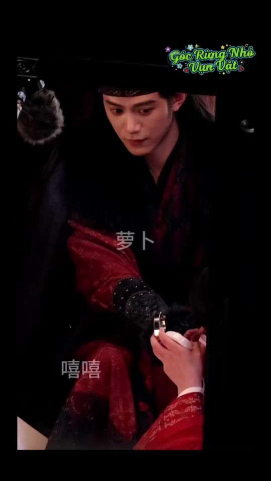 TikTok video thumbnail by grn_v_v