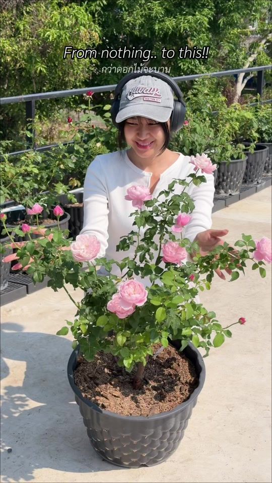 TikTok video thumbnail by misspannykan