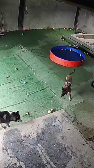 TikTok video thumbnail by ludogteka