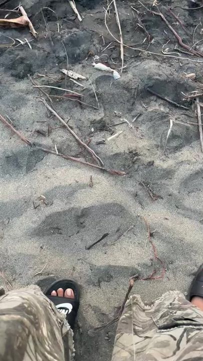 TikTok video thumbnail by joshyyy796