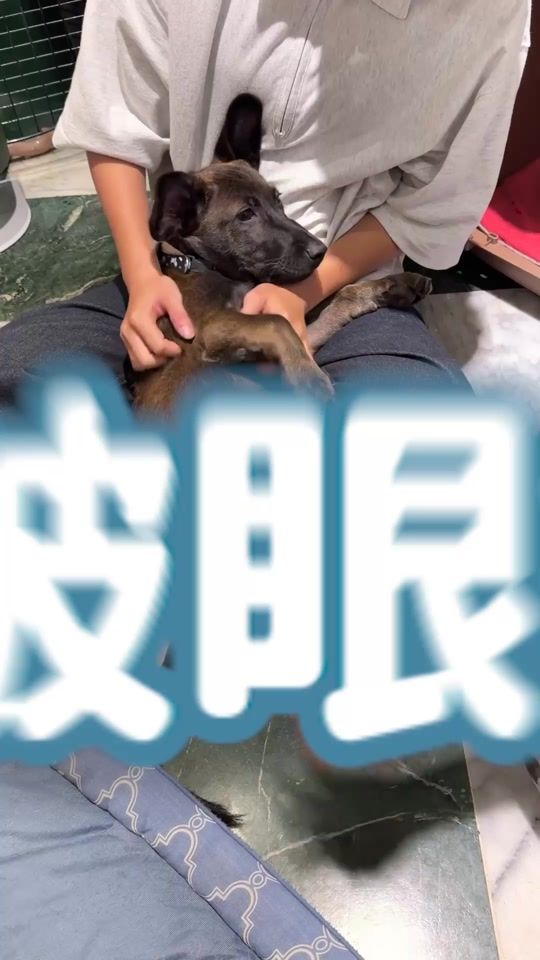 TikTok video thumbnail by langlangdontcry