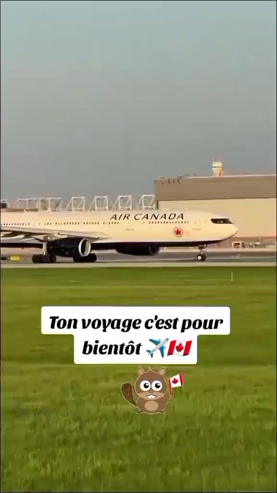 TikTok video thumbnail by insertion_canada
