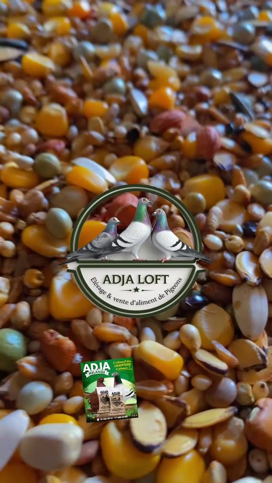 TikTok video thumbnail by adja_loft