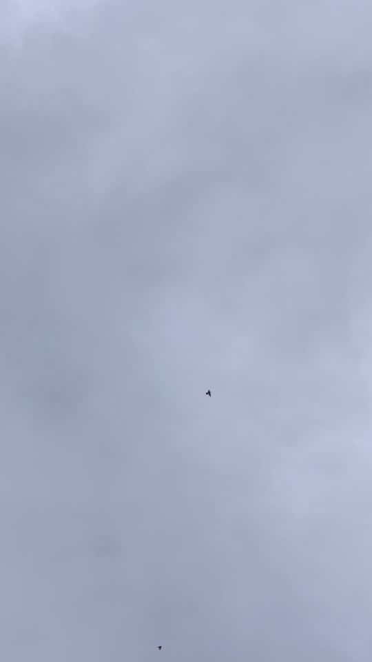 TikTok video thumbnail by ramazan_yahsii