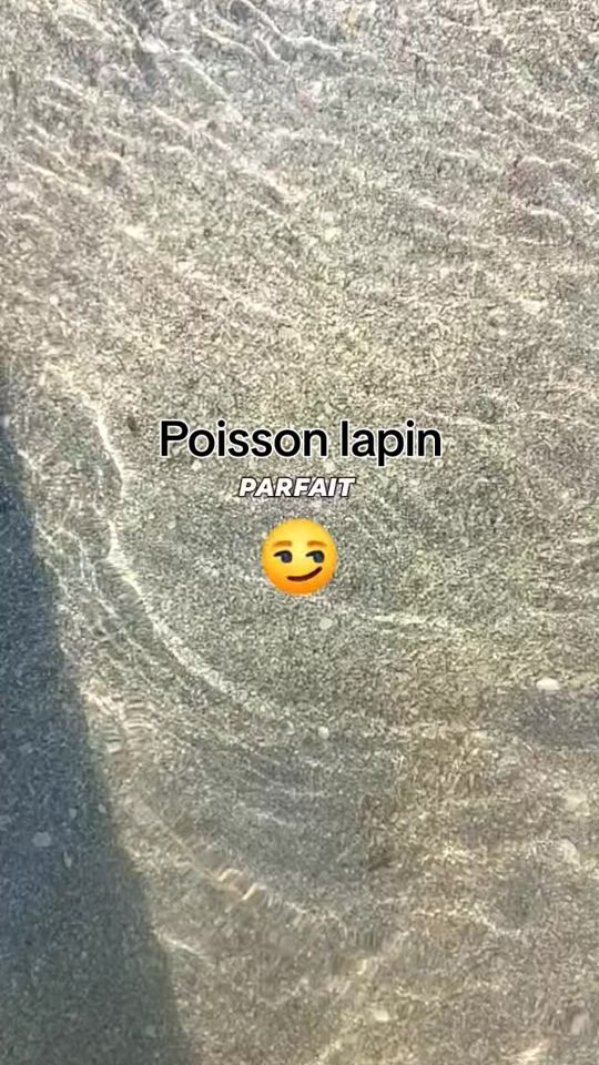 TikTok video thumbnail by kporl2
