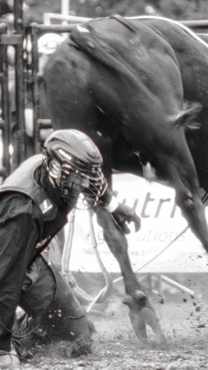 TikTok video thumbnail by hanginghorses