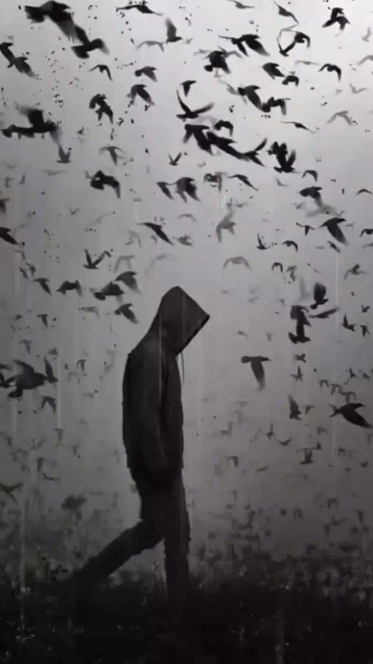 TikTok video thumbnail by amin.w91