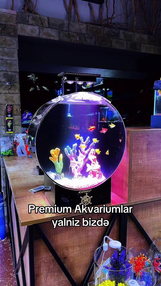 TikTok video thumbnail by aquanemo3