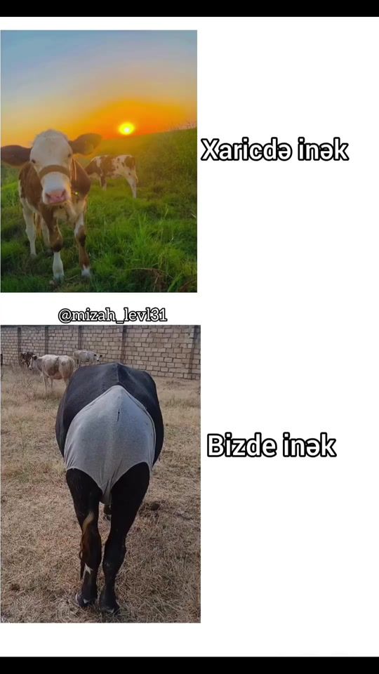 TikTok video thumbnail by mizah_levl31